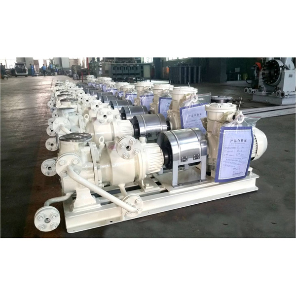 MCN Series Magnetic Drive Pumps